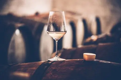 Weinbauer Webseite Preiswert